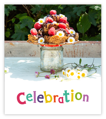 WEB celebration SBO