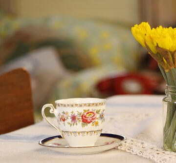 Daffodils and vitnage teacup and saucer
