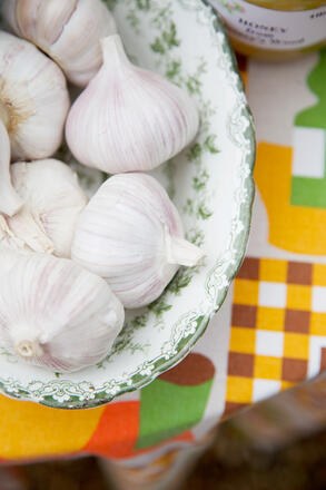 garlic for gluten free lemon and garlic paste recipe