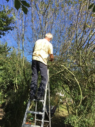 work in our nature reserve on the willow trees and hedges