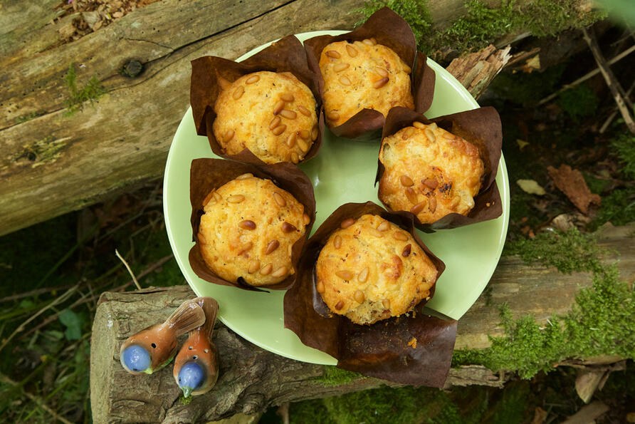 home made tomato and mozzarella muffins displayed on plate in woodland scene
