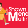 Shawn Mendes muffin recipe