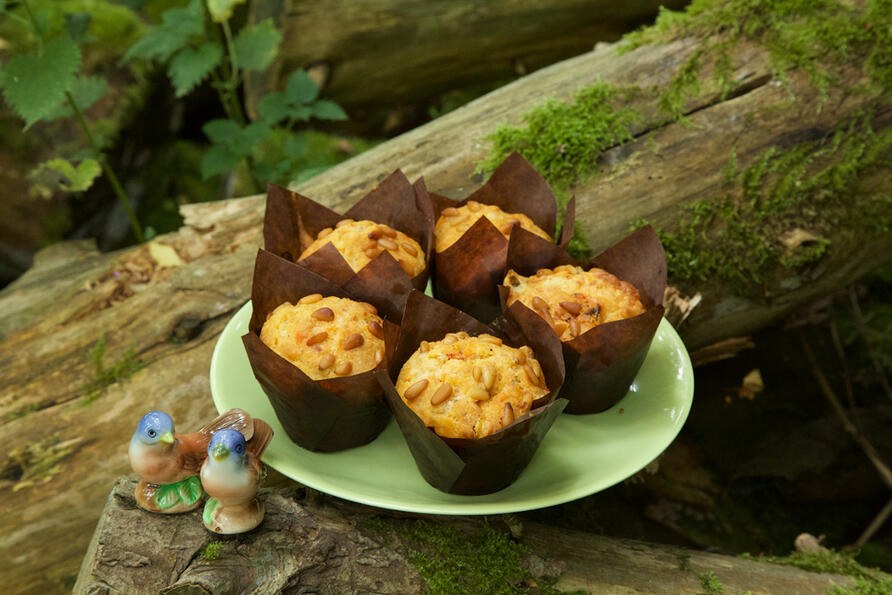 home baked muffins displayed on a green plate in a charming woodland setting on moss covered logs